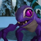 Haustierguide: Glimmr