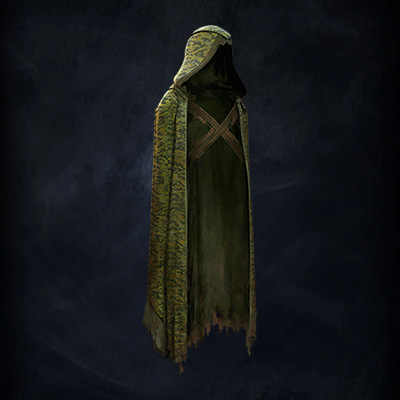 Shroud of the Vigilant